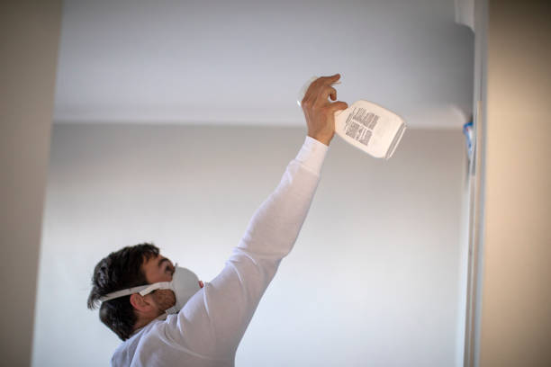 Best Mold Removal Company Near Me  in Forney, TX