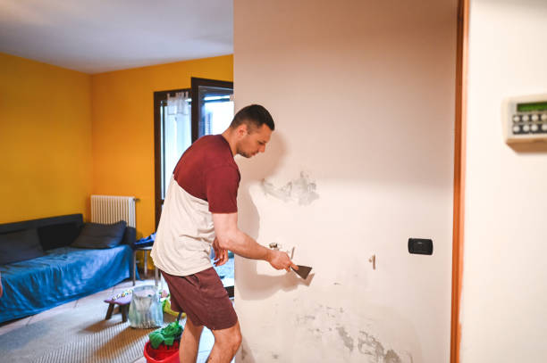 Best Residential Mold Removal  in Forney, TX